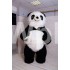 Panda z długim futrem